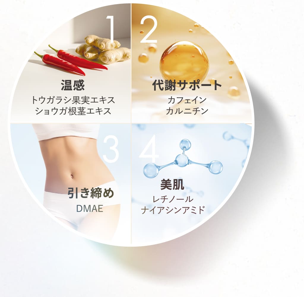 温感 トウガラシ果実エキス ショウガ根茎エキス 代謝サポ一ト カフェイソ カルニチン 引き締め DMAE 美肌 レチノ一ル ナイアシンアミド